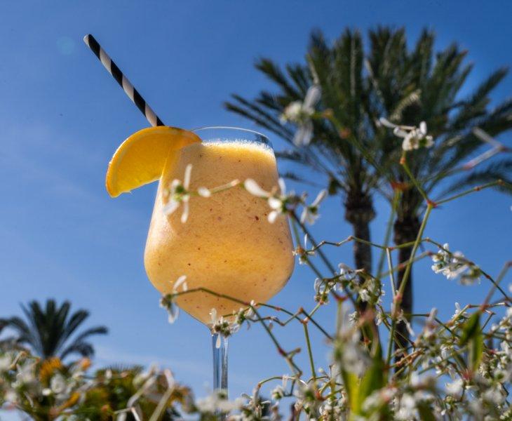 Bar la Zumeria Abama Hotels Bar la Zumeria Abama Hotels